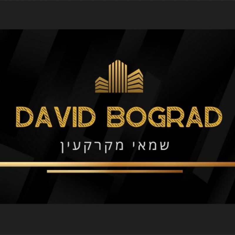 תמונה של דוד בוגרד